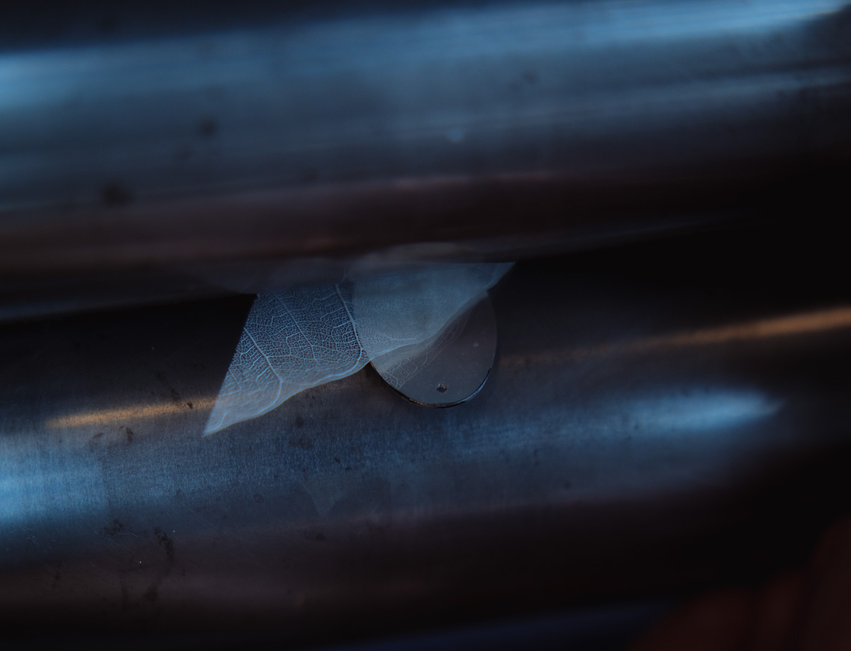 0A5A8246