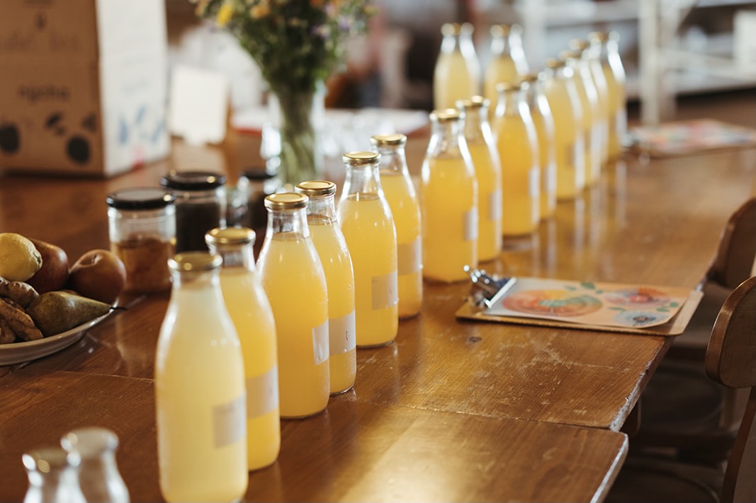 Ginger Beer und Kombucha Workshop