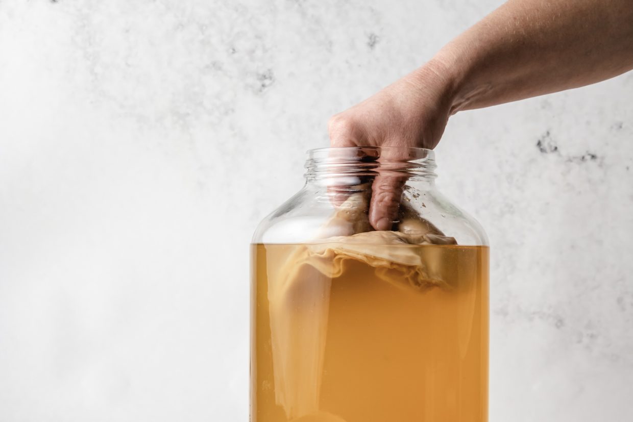 Kombucha fermentieren