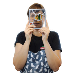 Workshop -  The butterfly effect (Copie) (Copie) (Copie)